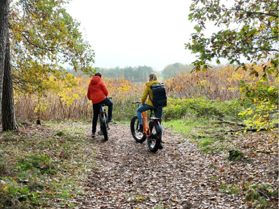 Mokwheel E-Bikes